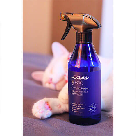 無重力猫 ミルコのお家